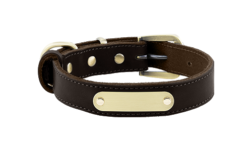 Luxury Genuine Leather Engraved Dog Collar Dogstag